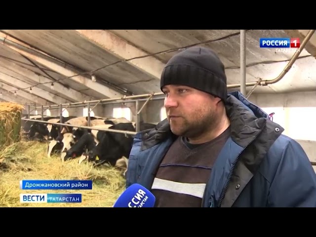 Видео про Дрожжановский район