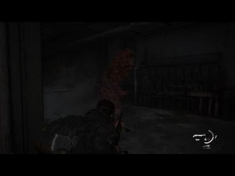 The Last of Us™ Part II gameplay walkthrough pt27