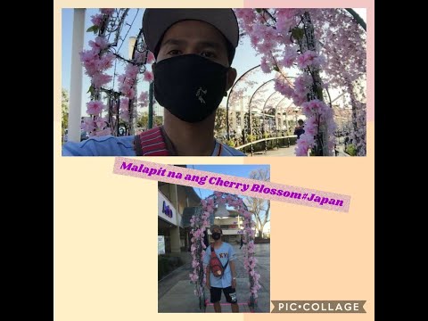 MASSAGE|||GALA|||JAPAN