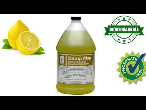 Spartan Damp Mop Cleaner - WestPac Solutions