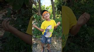 Download lagu Want to throw it away but it's a shame #shorts mp3