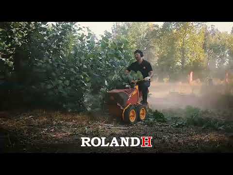 MOTODESMALEZADORAS ROLAND H001