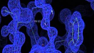 THE AGE OF VIRUSES