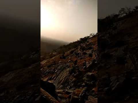 Nikhil Sharma soothing fl...