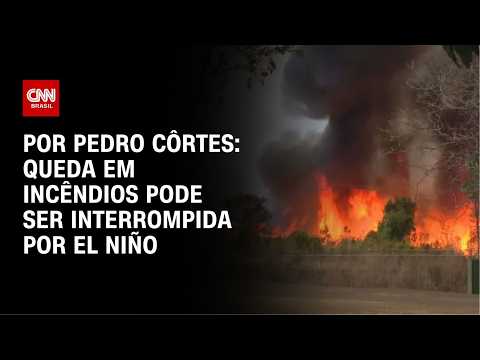 Análise: Queimadas recuam, mas com El Niño risco continua elevado | LIVE CNN