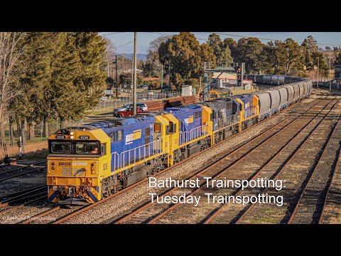 Bathurst Trainspotting: Tuesday Trainspotting