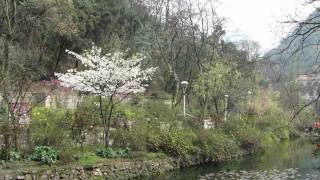 preview picture of video 'Qianling shan Park 黔靈山公園 - 園內百態 day 13 - 23 ( China )'