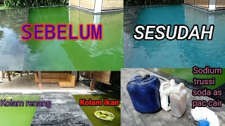 Quick Green Pool Treatment Using Copper Sulfate, Sodium, Soda Ash, and Liquid PAC