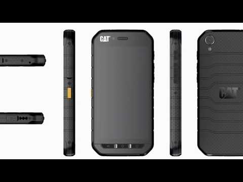 The Rugged Phone CAT S31 Specification, Features, Price, Release Update