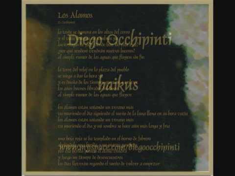 Diego Occhipinti - Los álamos