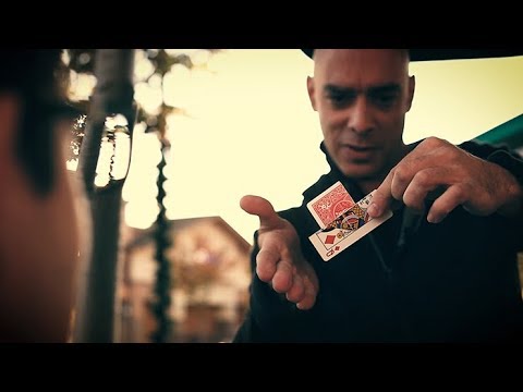 TORNIMATION by Menny Lindenfeld