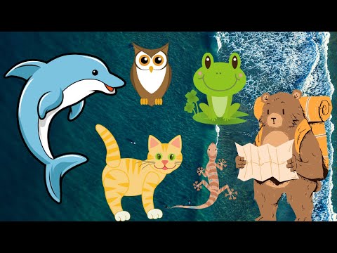 Funny Behavior and Hearing Animal Sounds from Various Countries : bear, cat, dog, monkey, lion, owl