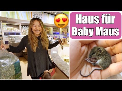 download lagu mp3 mp4 Baby Maus, download lagu Baby Maus gratis, unduh video klip Baby Maus