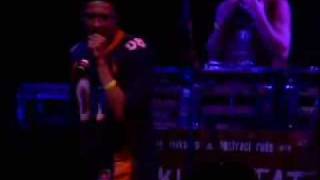 Haiku D'etat - My Dogs