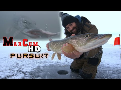 INSANE TipUp Fishing For Walleye And Pike! Crystal Clear Underwater Footage! MarCum HD Pursuit