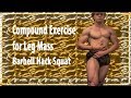 Barbell Hack Squat