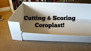 Coroplast Base: How To Cut & Score For C&C Cages