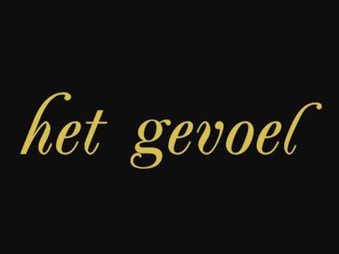 Louis Vice & Leo Tweinz - Het gevoel (Lyrics)