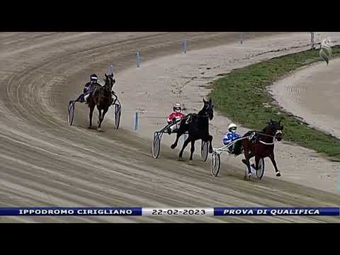Aversa trotto 22 Febbraio 2023 - Prova di qualifica