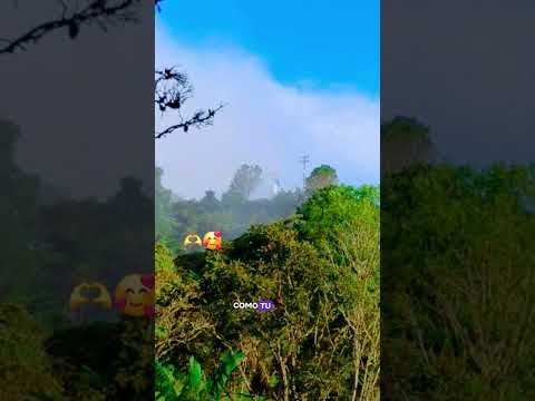 La Llanada! 🫶 #nariño #fyp #paratiiiiiiiiiiiiiiiiiiiiiiiiiiiiiii #amor #teamo #FyV❤️