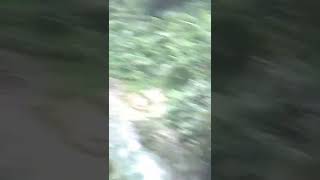 Download lagu Keciduk nonton film porno Korea 🤣 mp3 Download lagu Keciduk nonton film porno Korea 🤣 mp3