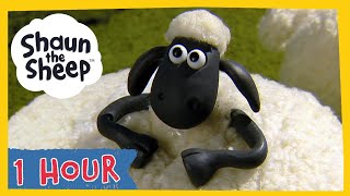 Download lagu 🔁 1 Hour Compilation Episodes 1-10 🐑 Shaun the Sheep S1 mp3 Download lagu 🔁 1 Hour Compilation Episodes 1-10 🐑 Shaun the Sheep S1 mp3