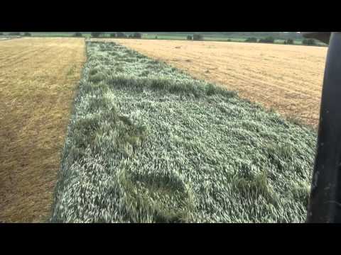 DOMAI MPD 611 CLAAS 870 TRITICALE ALETTATO