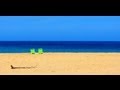 On the Beach In Hawaii - Ziggy Marley 