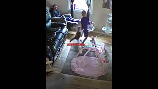 Little Kid Steps On Cat's Tail And Starts Chain Reaction