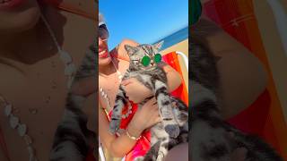 O gatinho só queria viajar 🥺