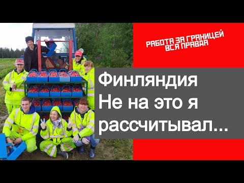 Сезонные работы в Финляндии 2020 вся правда.