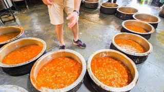 Indian Street Food FACTORY - Enter Street Food HEAVEN - Hyderabad, India - BEST Street Food in India