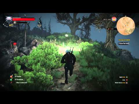 The Witcher 3 Wild Hunt Playthrough - Part 124: Isle Of Mists