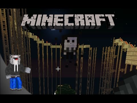 Minecraft: Rollercoaster: The Madness Medley