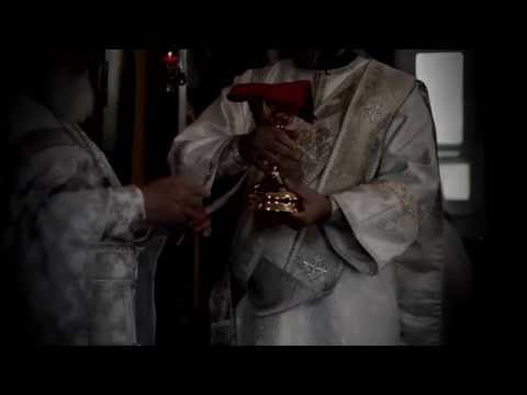 TRAILER: Fountain of Immortality