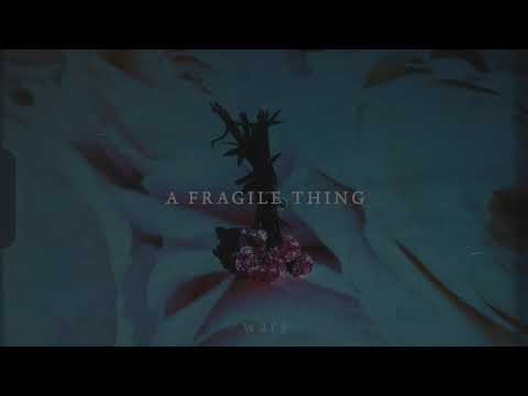 Video thumbnail for A Fragile Thing