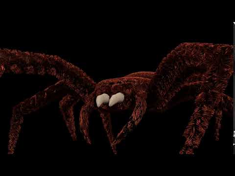 Spider animation CGI. Walk Cycle