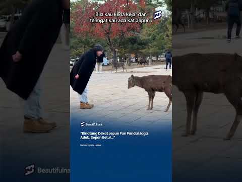 Ni lawak effortless ni 😂#NaraViral #NaraTrending #NaraJepun