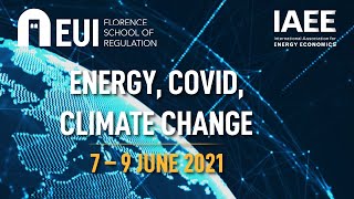 Implications of the energy transition on the Future of the Oil Industry | Adam Sieminski