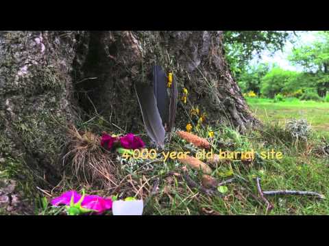 Scarblife Scotland 2015   1080p