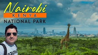 Nairobi National Park Kenya Travel VLOG in Africa