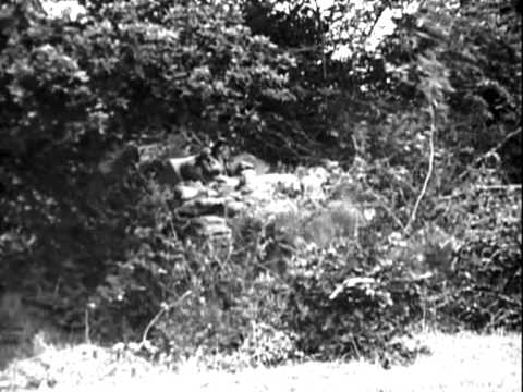 Tanks and Hedgerows - Normandy 1944