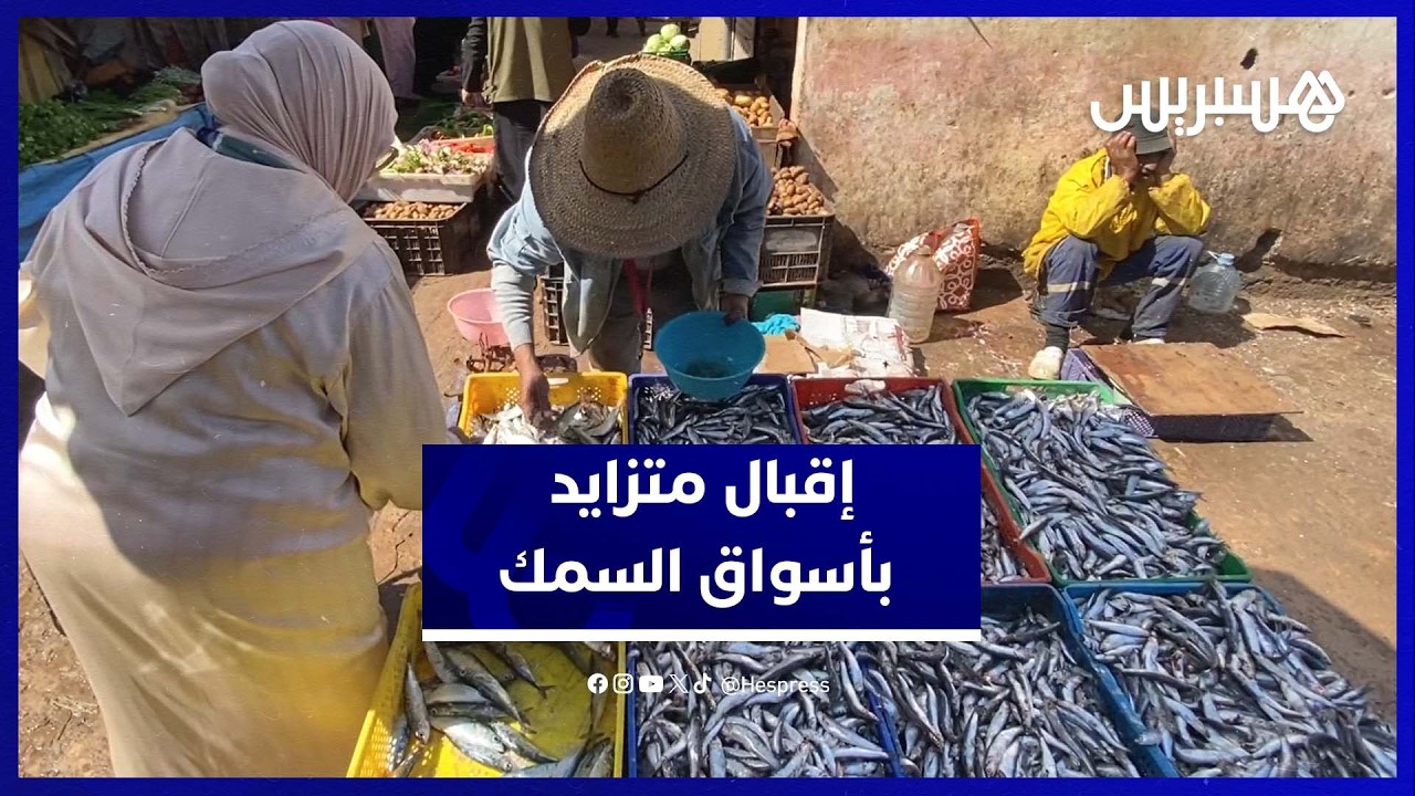 رمضان ينعش أسواق السمك ويزيد الطلب على السردين والأنشوبة thumbnail