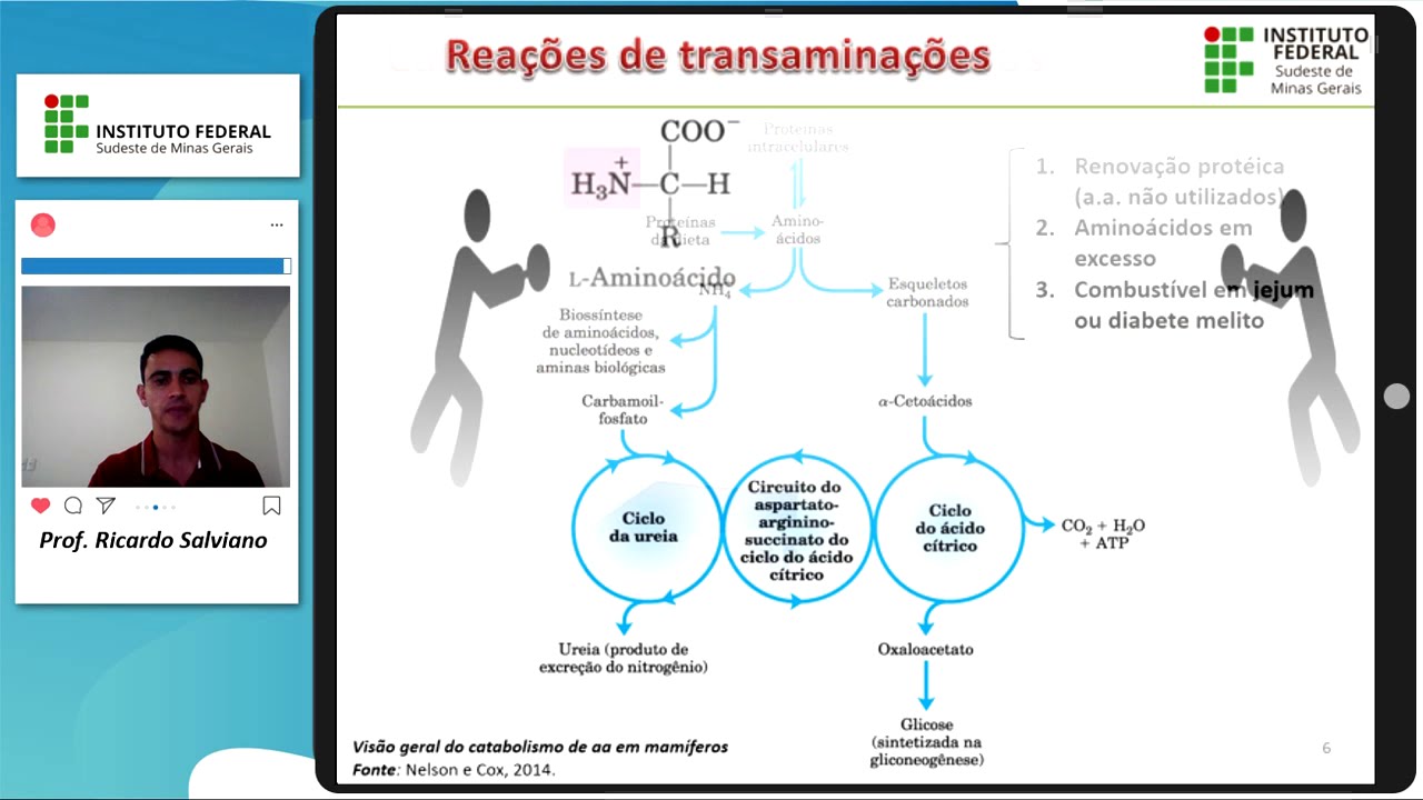 Metabolismo de aminoácidos - parte I