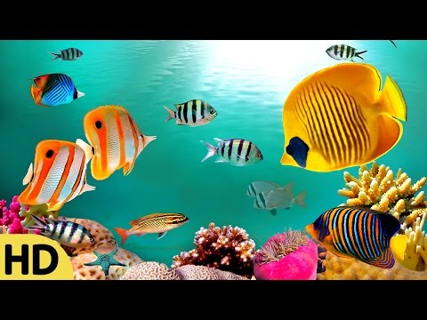 Relaxing Guitar Music, Soothing Music, Relax, Meditation Music, Instrumental Music to Relax, ☯2763