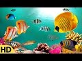 Relaxing Guitar Music Soothing Music Relax Meditation Music Instrumental Music To Relax 2763