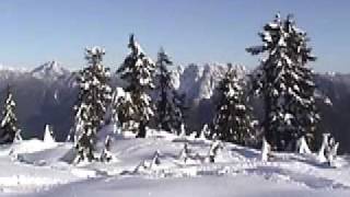 preview picture of video 'Climbing to Hollyburn Peak - 2004'