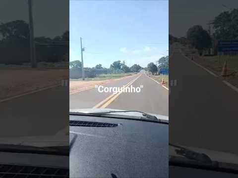 "Corguinho, mato grosso do sul"
