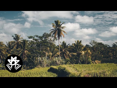 KC Dubz - SPACEDUB (Official Music)