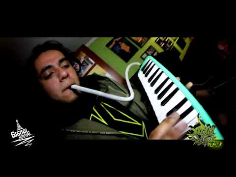 XOROSLIFE TV - SEÑAL HABITUAL - BABY